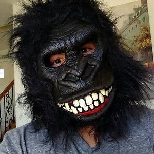 Meet your Posher, Oscar